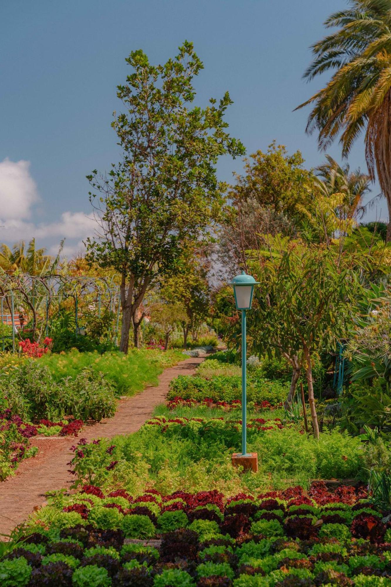 Quinta Splendida Wellness & Botanical Garden Hotel Caniço Eksteriør billede